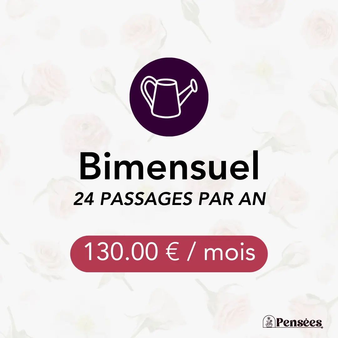 card entretien bimensuel 2