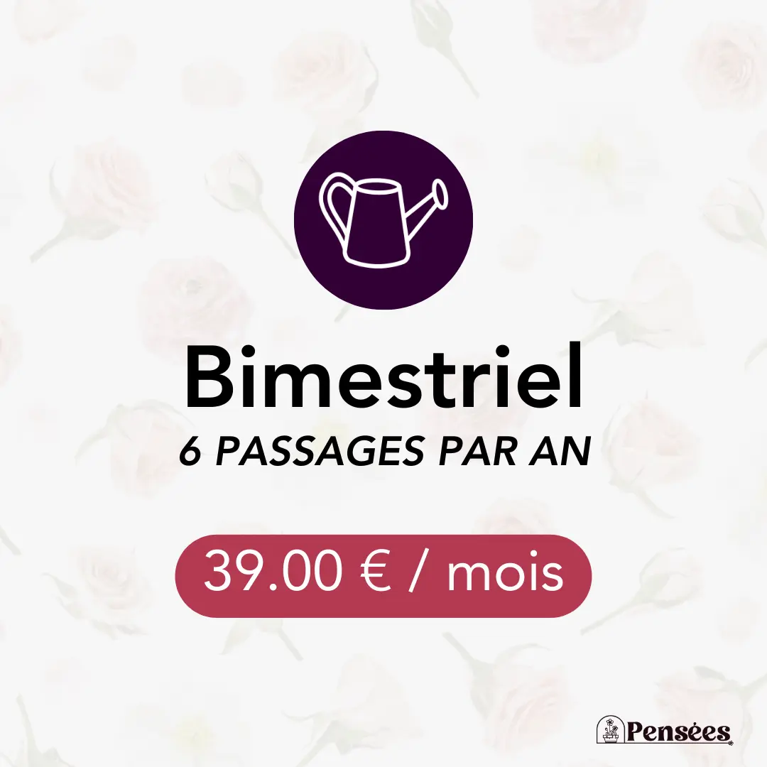 card entretien bimestriel 2