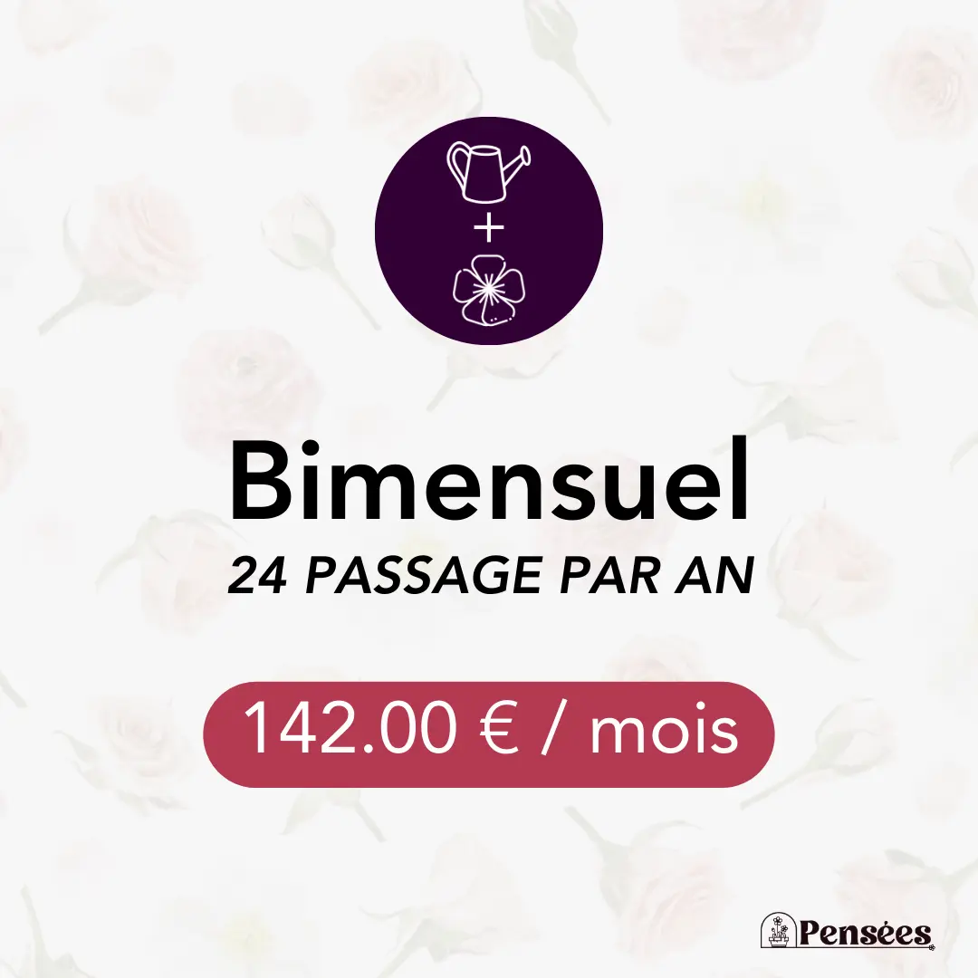 card entretien et fleurissement Bimensuel