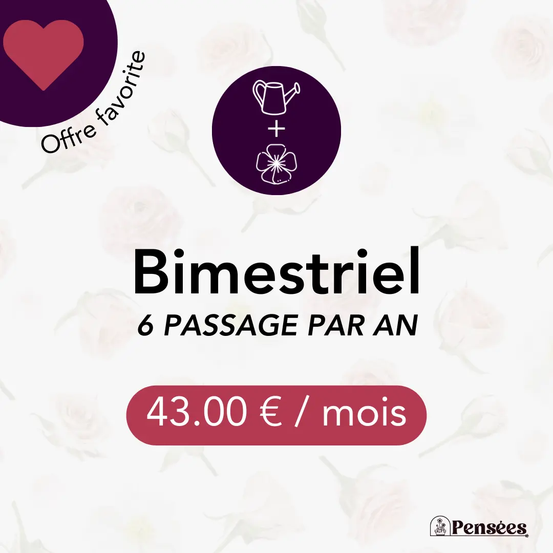 card entretien et fleurissement Bimestriel 1