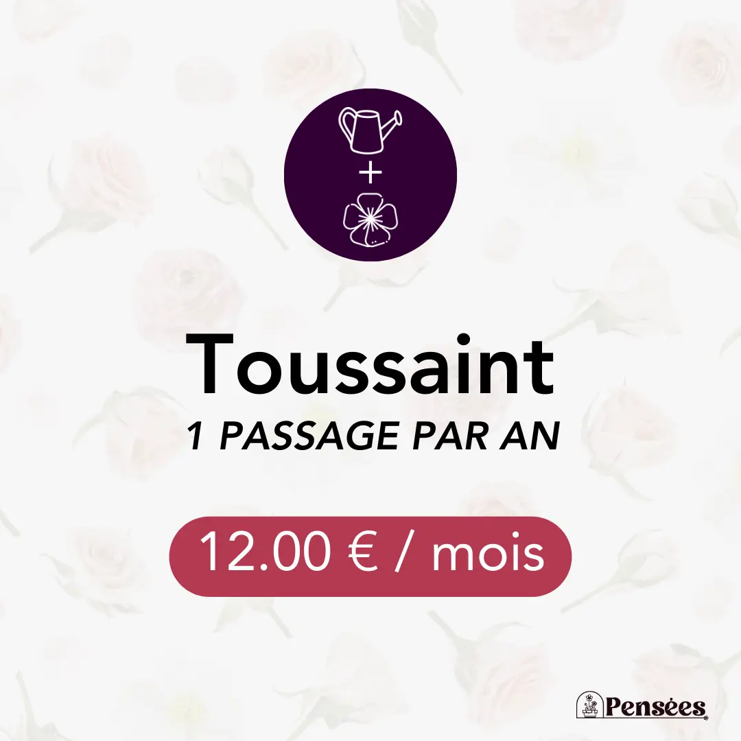 card entretien et fleurissement annuel1