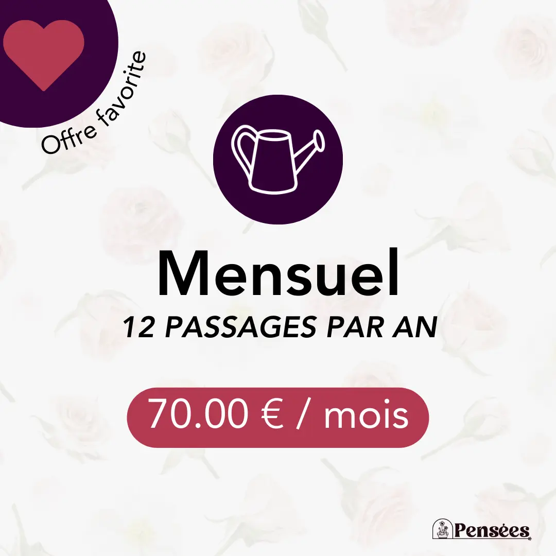 card entretien mensuel 2