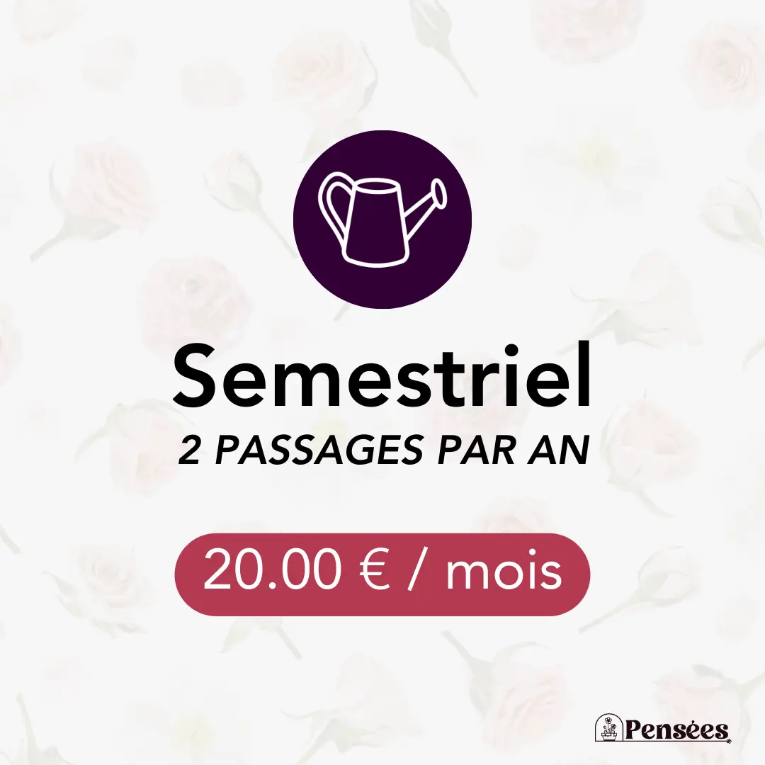card entretien semestriel 2