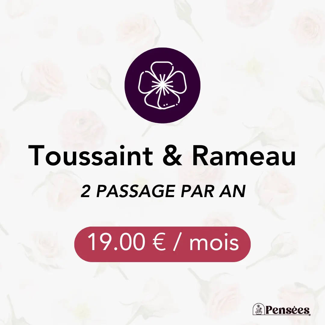 card fleurissement Toussain Rameau 2