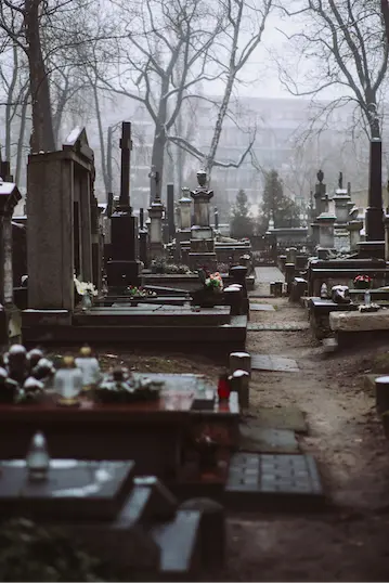 Accueil 9 cimetiere pas entretenu1